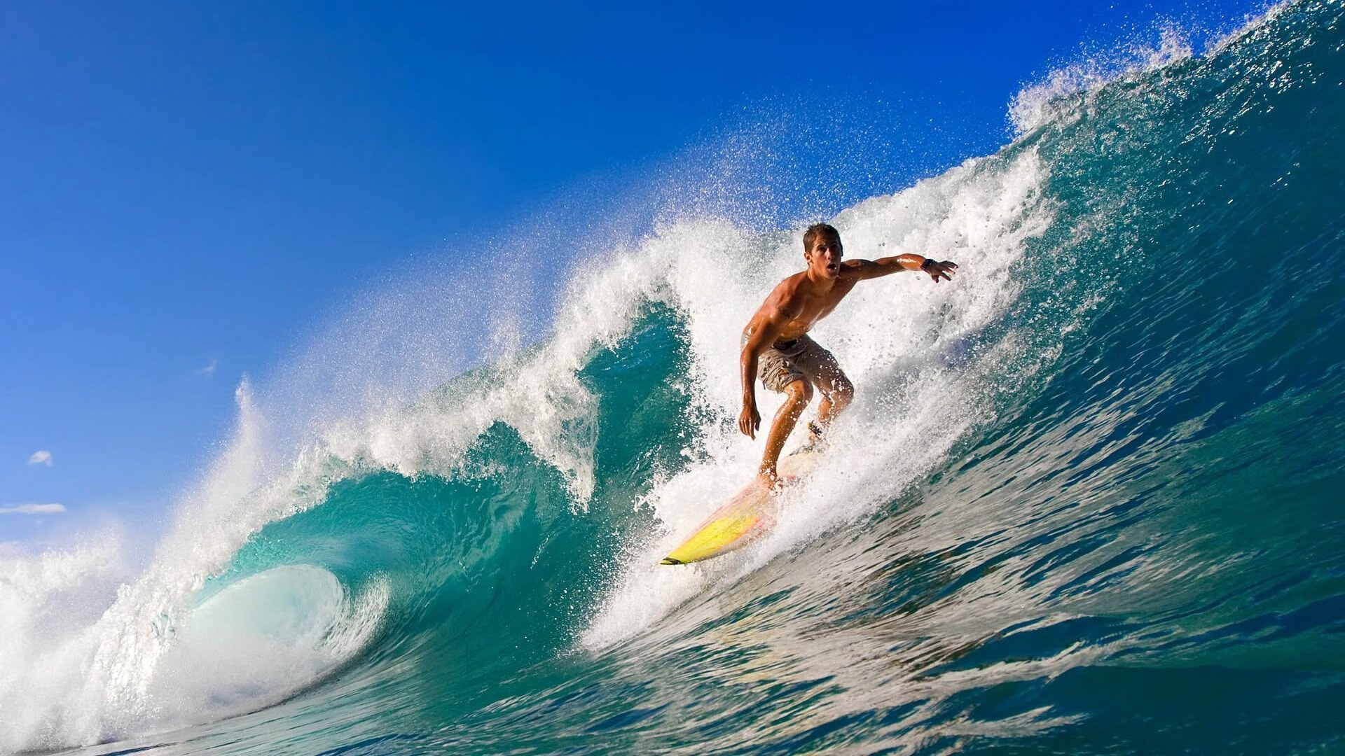 2024年混合团体世界杯:Chinese Taipei高光时刻回顾,2024年世界杯举办国家